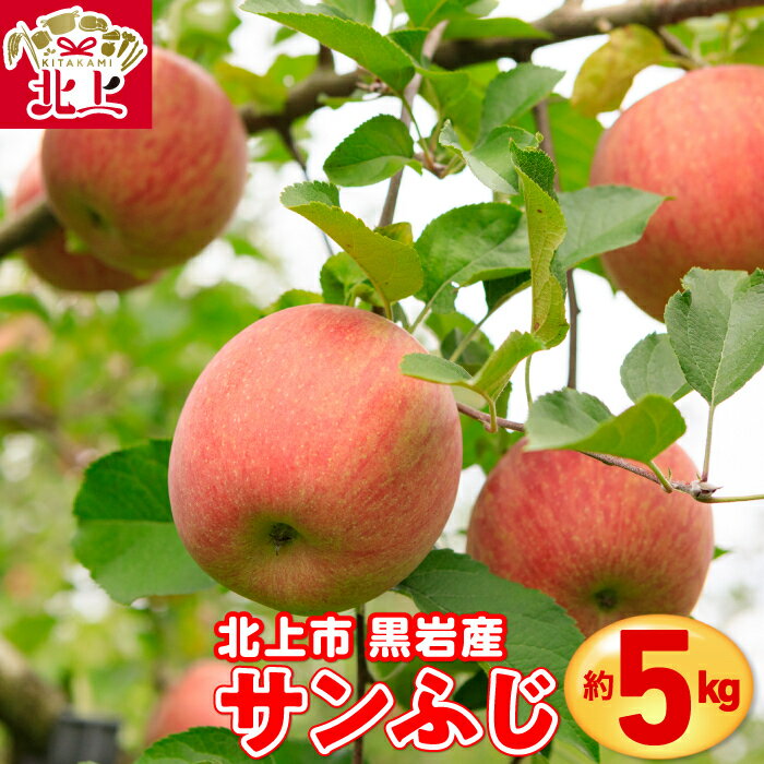 【ふるさと納税】りんご ( サンふじ ) 約 5kg 岩手産 国産 新鮮 産地直送 北上市 黒岩産 リンゴ 林檎 フルーツ 果実 果物 サンフジ お歳暮 ギフト 贈り物 プレゼント 産地直送 送料無料 岩手県 北上市 E0310 くろいわ産地直売所