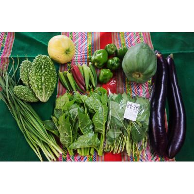 ふるさと納税 下妻市 野菜ブーケと情熱野菜セット9品　通常ギフト　メッセージカードつき |  | 03