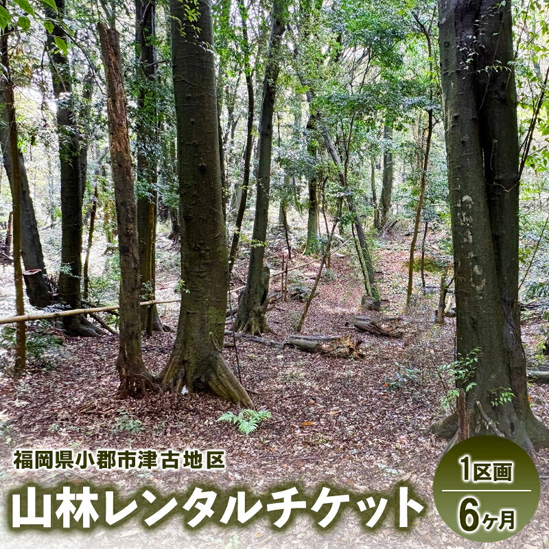 【ふるさと納税】チケット 山林レンタルチケット 小郡市津古地区 1区画 6ヶ月