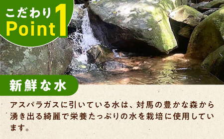 【3月中旬以降順次発送】朝採れアスパラガス2kg [WCT002] アスパラガス アスパラ  野菜 アスパラガス アスパラ