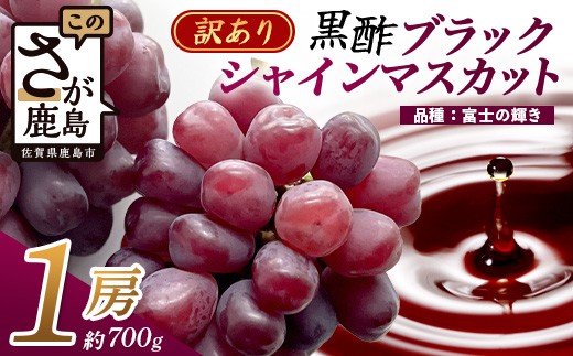 訳あり ブラック シャインマスカット 富士の輝き 1房 700g以上 かねひろ 黒酢【先行受付】【2026年8月下旬～9月下旬発送予定】糖度20～25度 甘くてびっくり！ お試し 家庭用 フルーツ 果物 ぶどう 葡萄 生産者直送 ふるさと 佐賀県 鹿島市 送料無料 B-909