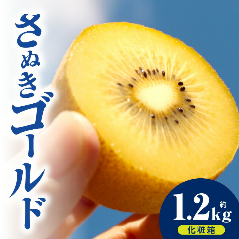 【ふるさと納税】キウイフルーツ(さぬきゴールド) 化粧箱1.2kg キウイ フルーツ 果物 旬 旬の果物 キウイフルーツ デザート 生鮮食品 贈り物 贈答 お裾分け おすすめ 人気 ギフト グルメ 特産品 果肉 季節 季節の果物 香川県 三木町 送料無料