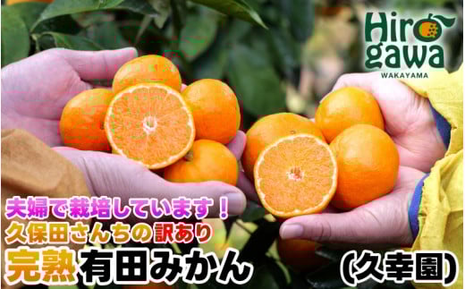 完熟 有田 みかん 訳あり 10kg 久幸園 / 温州みかん 有田みかん 甘い 家庭用 和歌山 柑橘 ※11～12月順次発送 【hsk004-c-10D】