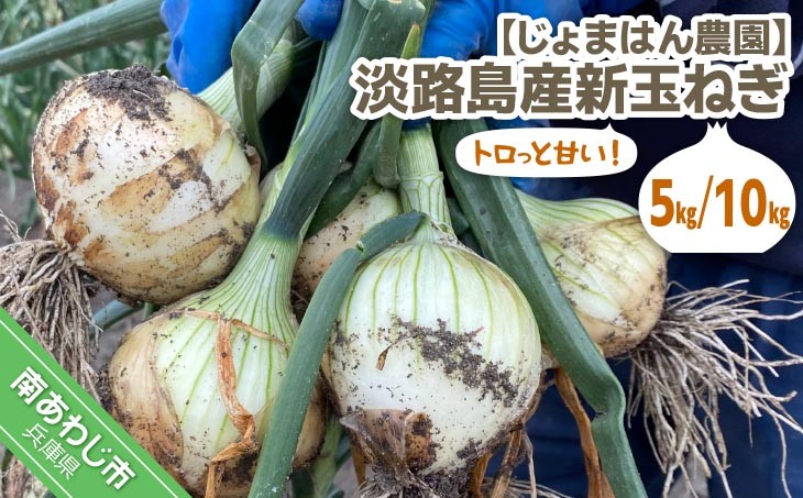 
                  【量が選べる！新玉予約！】トロっと甘い！！淡路島産新玉ねぎ
                