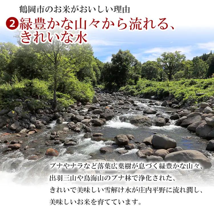 【令和7年産】 ササニシキ 精米 15kg (5kg×3袋)　山形県 庄内産　米食味鑑定士お薦め　| ささにしき 15キロ 米 お米 コメ 白米 食品 ご飯 ごはん 美味しい おいしい ブランド米 お