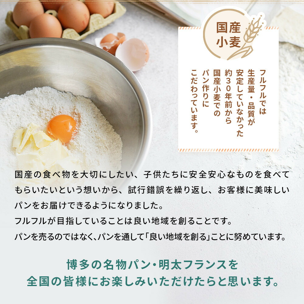 【福岡市】明太フランス9本セット | パン フランスパン 総菜パン 明太 国産小麦 福岡市
