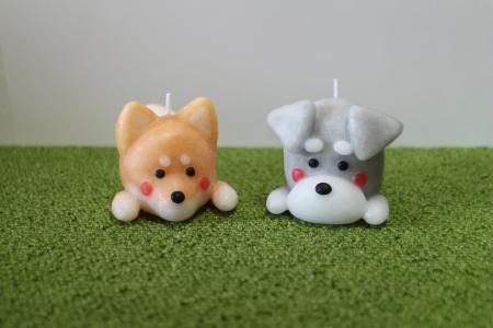 キャンドル 動物candle3個セット ろうそく canata conata 7-001