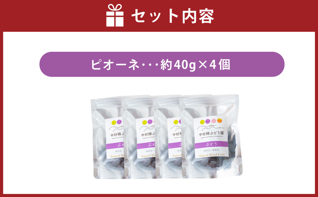 中村柿ぶどう園 ナチュラルドライフルーツ (ピオーネ) 約40g×4個