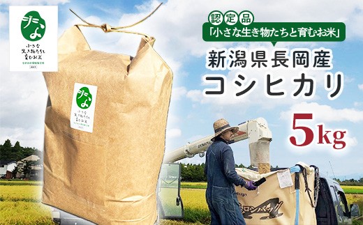25-8SC051A【精米】新潟県長岡産コシヒカリ5kg【「小さな生き物たちと育むお米」認証品】