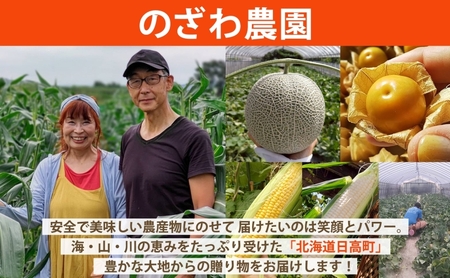 【 のざわ農園 】日高 赤肉メロン 4～6玉（約8kg～9kg）北海道 日高産
