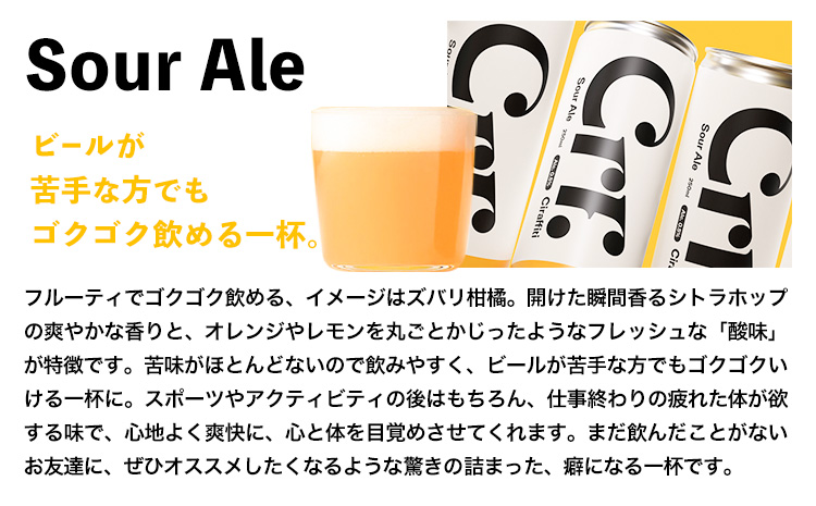 CIRAFFITI Sour Ale 6本セット 《30日以内に出荷予定(土日祝除く)》鳥取県 八頭町 送料無料 ビール クラフト ローアルコール
