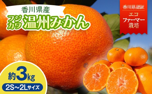 2026年秋よりお届け 農園直送 フジカワ果樹園栽培の 温州みかん 約3kg 果物類 柑橘類 フルーツ FAH-0181