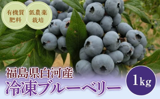 
《先行予約》白河産冷凍ブルーベリー 1kg F21R-051
