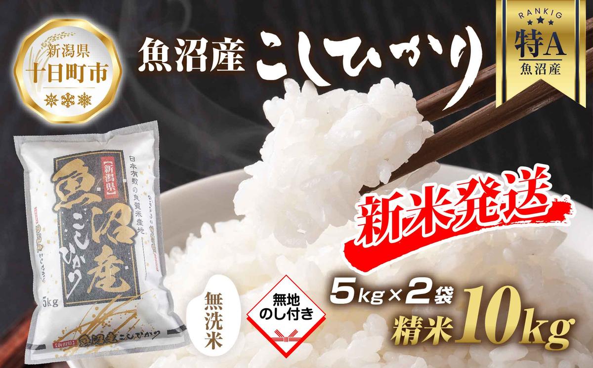 【令和7年産 新米予約】 無地熨斗 無洗米 魚沼産 コシヒカリ 5kg × 2袋 計10kg 新米 農家のこだわり 新潟県 十日町市 お米 こめ 白米 コメ 食品 人気 おすすめ 送料無料 精米 ご飯 ブランド米 銘柄米 