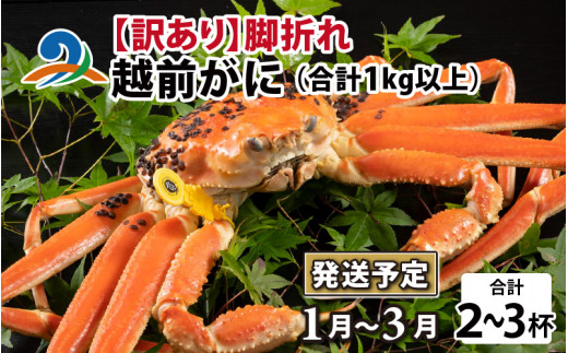 【先行予約】【訳あり】越前がに 2～3杯 （合計1kg以上） 脚折れ【1月～3月発送】 ズワイガニ ずわいがに ズワイ蟹 越前ガニ ボイル 刺身 蟹 鍋 しゃぶしゃぶ 冷蔵  カニ 鍋 冬 海鮮 かに 国産 南越前町 福井県　送料無料