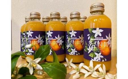 糸孫農園の100％みかんジュース「糸孫100」180ml 8本ギフトセット（B1044-2）