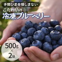 【ふるさと納税】冷凍こだわりブルーベリー　500g×2【フルーツ 冷凍 1kg】　【 果物詰合せ フルーツ 千葉県 千葉市 ブルーベリー 冷凍 1kg 】