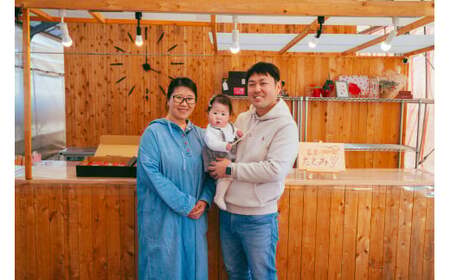 【先行予約】いちご やよいひめ400g×2 3箱 計2,400g｜いちご 群馬県 前橋市