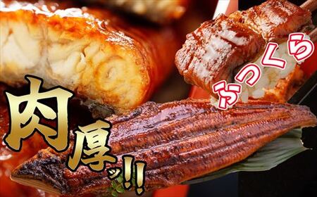 うなぎ蒲焼 無頭 3尾 定期便 3回 | うなぎ蒲焼