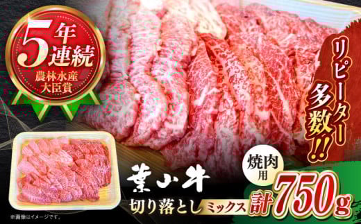 【農林水産大臣賞 5年連続受賞歴有】葉山牛 焼肉用切り落とし ミックス 約750g / 肉 牛肉 黒毛和牛 焼き肉 カルビ モモ BBQ 赤身 やきにく【葉山牛ステーキレストラン 角車】 [ASBD002]