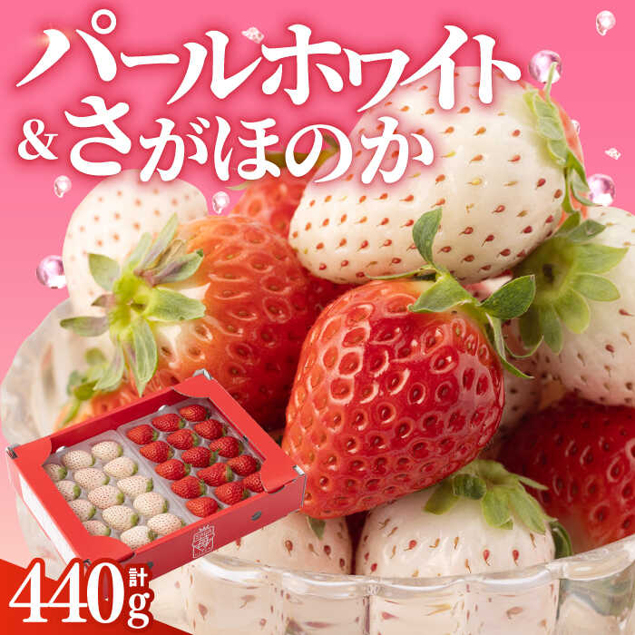 【ふるさと納税】【先行予約】 【農家直送】 いちご食べ比べ！『さがほのか』と『パールホワイト』220g×2パック（各220g）【ハヤシダファーム】 イチゴ 白イチゴ 苺 果物 フルーツ 佐賀県 白石町 [IAQ005]