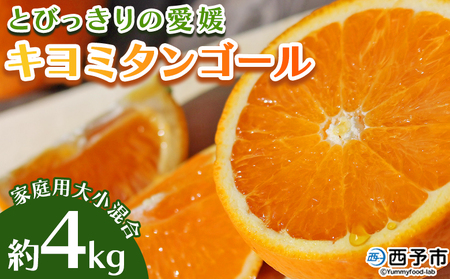 先行予約 ＜とびっきりの愛媛 キヨミタンゴール 約4kg（家庭用大小混合）＞ 訳あり 家庭用 果物 柑橘 フルーツ みかん 蜜柑 オレンジ 清見タンゴール 特産品 片山果樹園 食べて応援 西宇和 愛媛県 西予市【常温】『2026年3月中旬から順次出荷予定』MKK0011