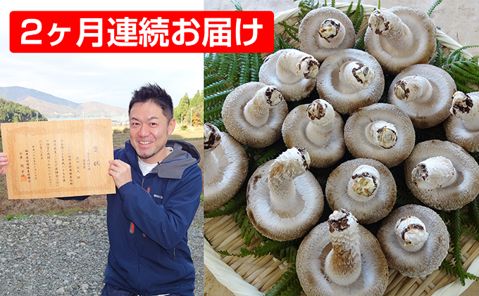 【2ヶ月連続】菌床による、生シイタケで「おーい菌床しい