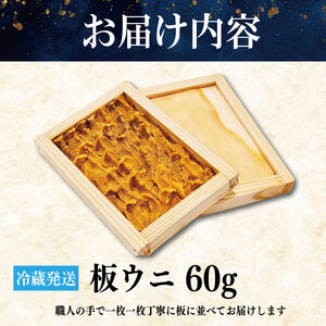 うに 60g 生うに うに