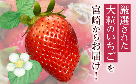 《2025年発送先行予約》【期間・数量限定】【贈答用】宮崎県産いちご みつひめ 2パック　いちご イチゴ 苺 贈答用 大粒