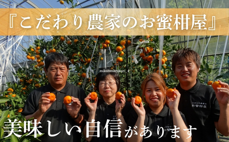 極甘！みかん丸 5kg みかん