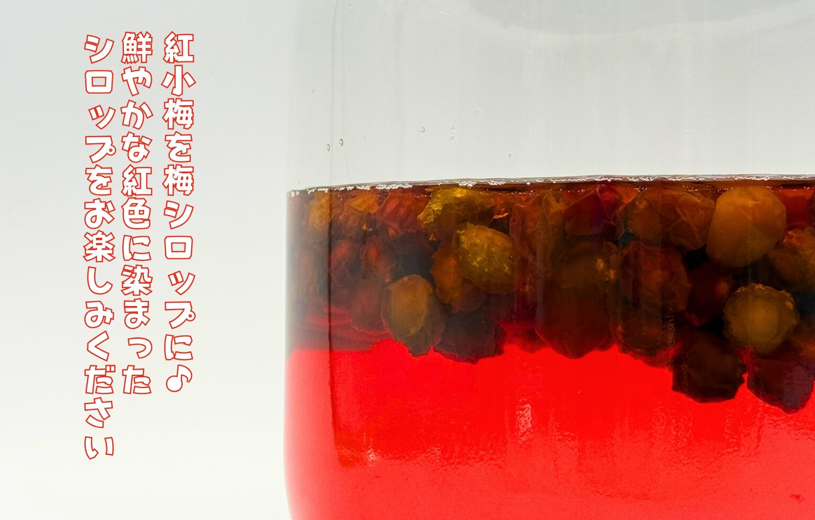 【2025年7月上旬～出荷予定】冷凍 紫小梅 500g 秀優混合 サイズミックス 紅紫色 梅 和歌山県産 紀州有田 クール便 【みかんの会】