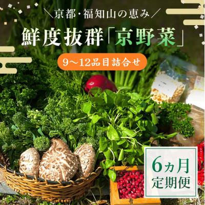 ふるさと納税 福知山市 【毎月定期便】鮮度抜群「京野菜」9〜12品目詰合せ【京都府福知山市】全6回