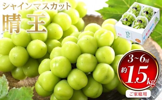ぶどう 2026年  ご家庭用 シャイン マスカット 晴王 3～6房 約1.5kg ブドウ 葡萄  岡山県産 国産 フルーツ 果物