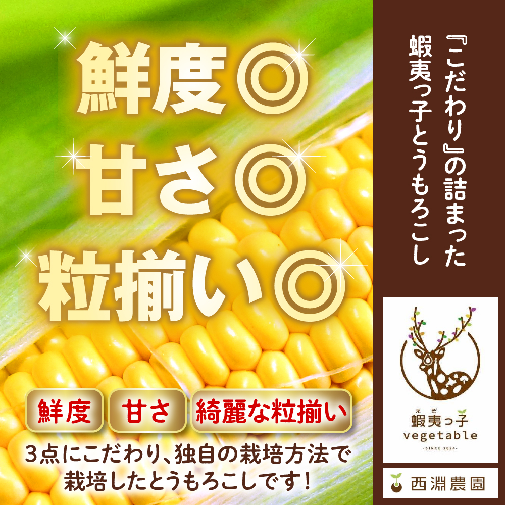 【先行受付】【2027年8月上旬～9月上旬頃発送予定】朝採りをお届け！ 北海道十勝芽室町　蝦夷っ子とうもろこし ゴールドラッシュ 13本 me076-013-27b