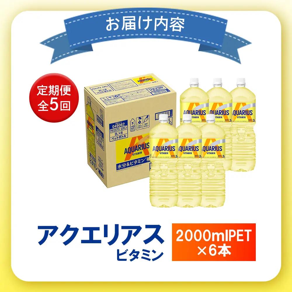 【定期便：全5回】アクエリアス ビタミン 2LPET×6本【38008901】