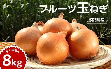 【 5月31日まで「新玉ねぎ」を受付 】フルーツ玉ねぎ8kg【サイズ色々】