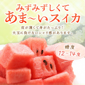 小玉すいか(ひとりじめ)2～3玉 和歌山産《先行予約》