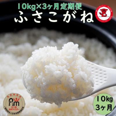 ふるさと納税 銚子市 【毎月定期便】千葉県産ふさこがね10kg全3回
