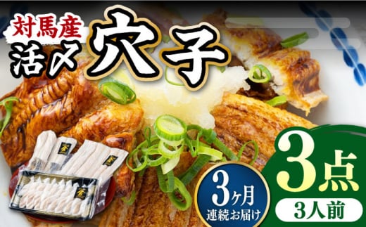 【全3回定期便】対馬産 活〆 穴子 ３点 セットC【THE・対馬株式会社】《対馬市》新鮮 あなご 刺身 天ぷら 海鮮 肉厚 簡単調理 三人前 [WAS012]