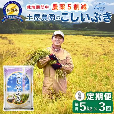 ふるさと納税 佐渡市 【毎月定期便】佐渡島産こしいぶき 白米5Kg 土屋農園 農家直送 栽培期間中農薬5割減 全3回