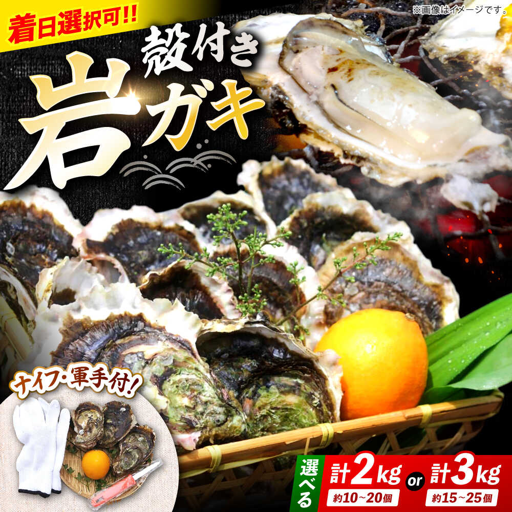 【ふるさと納税】《レビューキャンペーン開催中！》【選べる容量☆着日指定可】濃厚！ 岩ガキ 計2kg / 計3kg 便利なナイフ・軍手付き♪＜ハマフジ水産＞ [CES001] 牡蠣 カキ 岩牡蠣 生牡蠣 海鮮 冷蔵 贈答 かき 焼牡蠣 パスタ 今が旬
