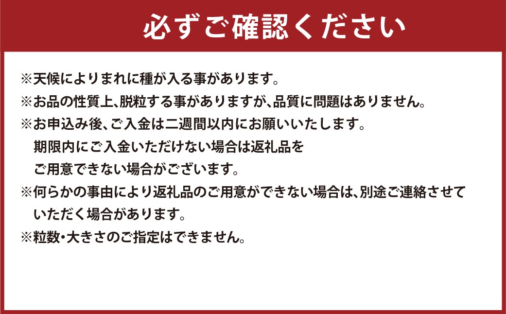 厳選 藤稔 2房 合計1.0kg以上