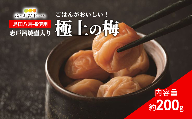 ★梅干し★極上の梅（志戸呂焼壺(つや無し)入り）贈り物 ギフト 人気 厳選 島田市 八房梅 うめ ご飯のお供 おかず 