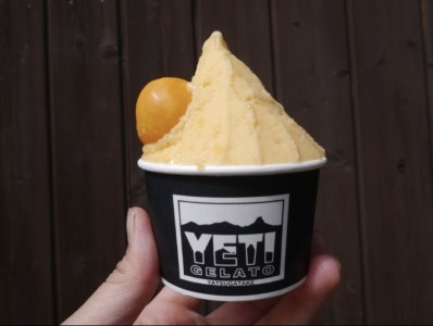 八ヶ岳の旬をお届け!!素材本来の味にこだわった 手作りジェラート(120ml×10)
