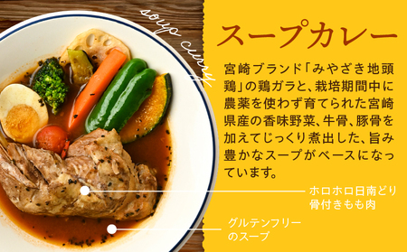 宮崎日南どり骨付きもものスープカレーセット スープカレー スパイスソルト 味変 みやざき地頭鶏 鶏ガラ 香味野菜 牛骨 豚骨 グルテンフリー 宮崎県産銘柄鶏 日南どり モモ肉 日本全国ご当地冷凍食品大