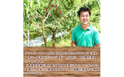 令和7年産 特秀品 さくらんぼ「 紅秀峰 」600g (300g×2パック) 2L以上 2025年産 山形県産 山形産 【2025年6月中旬頃～7月上旬頃発送予定】　032-A-AF022