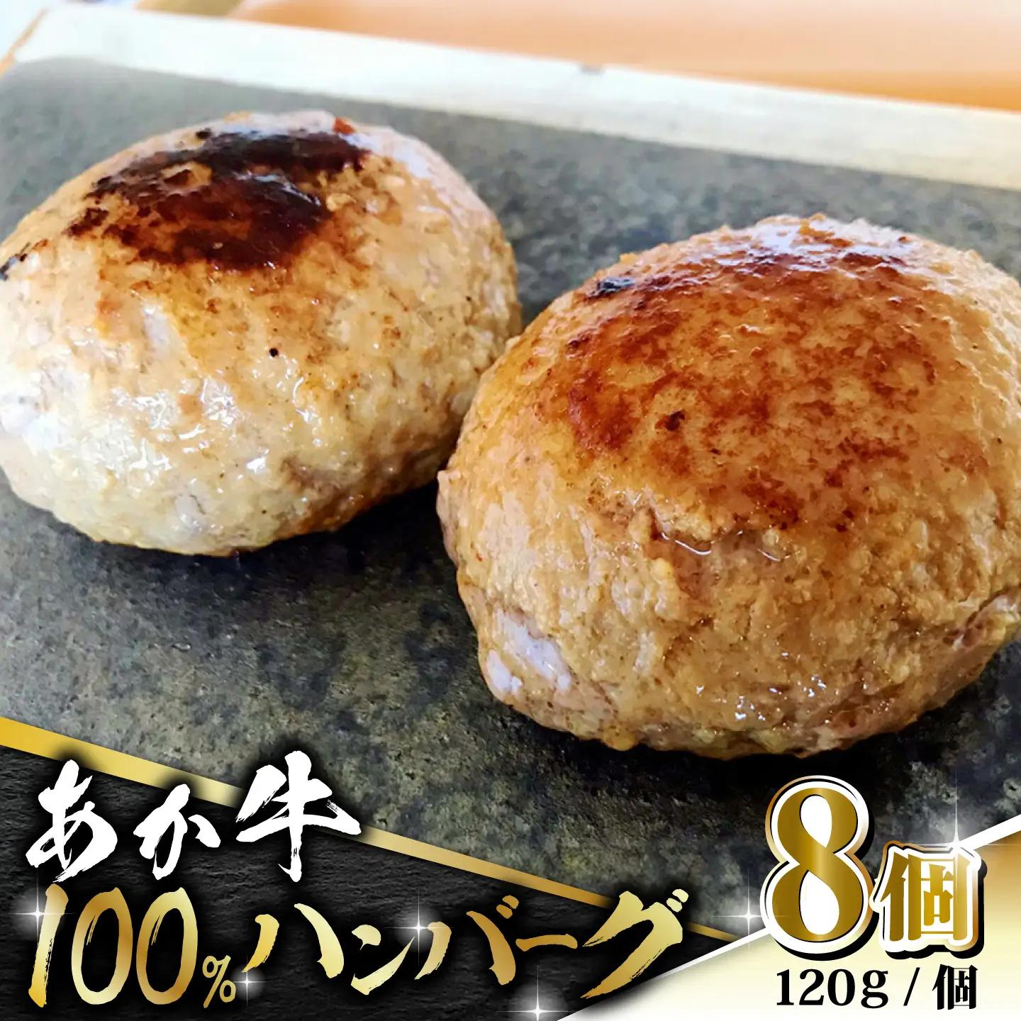 あか牛 100% ハンバーグ 120g × 8個【有限会社 三協畜産】 ハンバーグ 赤牛 セット 牛肉 あかうし 熊本県産 [ZEB099-FW]