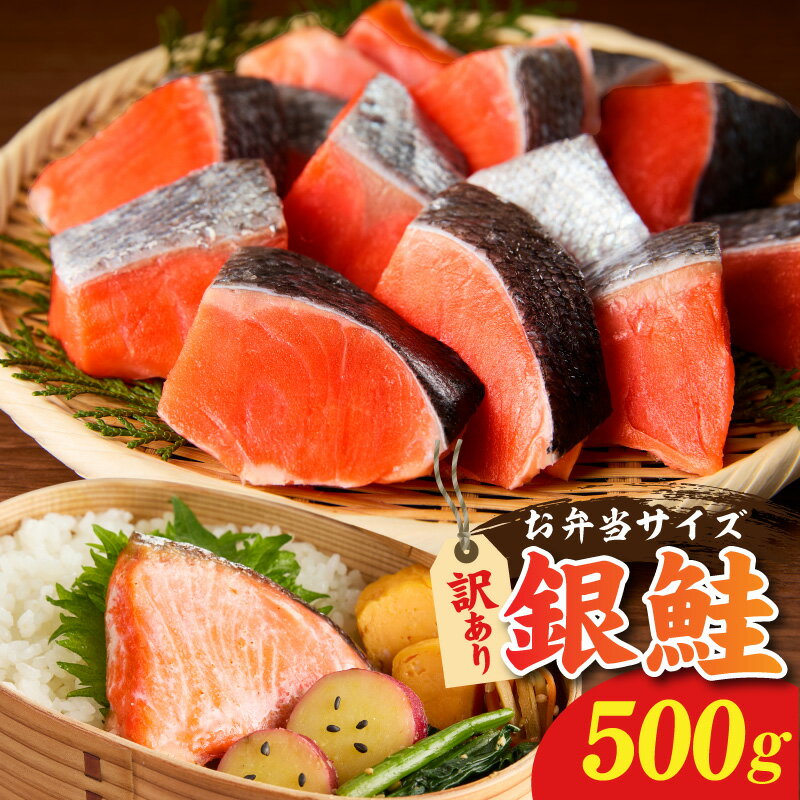 【ふるさと納税】【訳あり】 鮭の切り身 500g 11〜13切れ お弁当 不揃い 切身 銀鮭 サケ しゃけ カット済み 焼くだけ 簡単 時短 魚介 海鮮 魚 和食 洋食 ホイル蒸し 鮭茶漬け パスタ 冷凍 お取り寄せ 大阪府 泉佐野市 送料無料