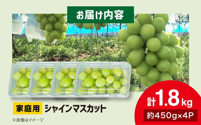【先行予約】【9月下旬から順次発送】家庭用 シャインマスカット 計1.8kg（約450g×4パック） 粒入り マスカット ぶどう ブドウ 葡萄 シャインマスカット 三次市 / 辰巳農園 [APCR00