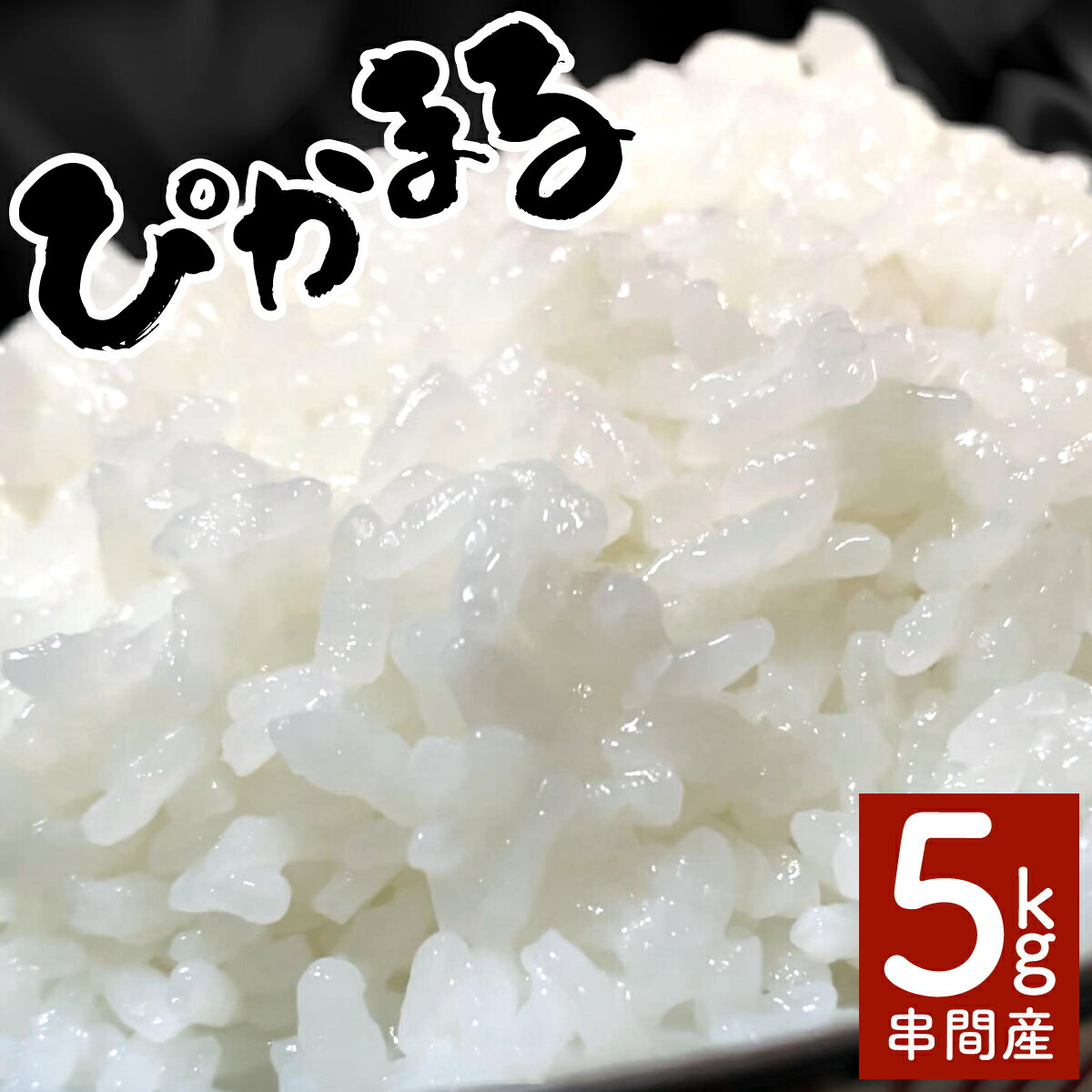 【ふるさと納税】＜数量限定＞【超早場米】低アミロース米『 ぴかまる 』5kg 令和7年産 契約栽培米・注目の 低アミロース 米！ 契約栽培米 秋 旬 新米 【中島米穀店】【KU153】